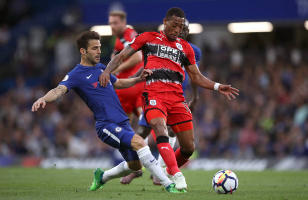 门也立即响 门也立即响